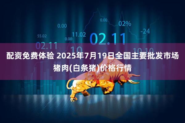 配资免费体验 2025年7月19日全国主要批发市场猪肉(白条猪)价格行情