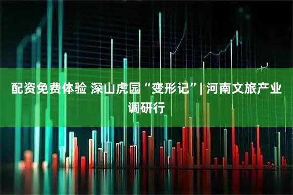 配资免费体验 深山虎园“变形记”| 河南文旅产业调研行