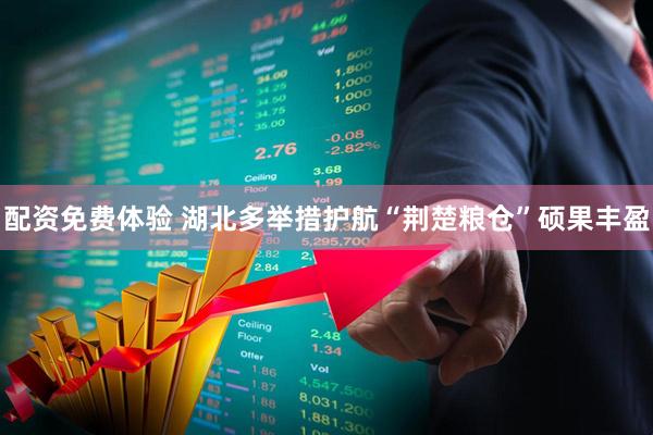 配资免费体验 湖北多举措护航“荆楚粮仓”硕果丰盈