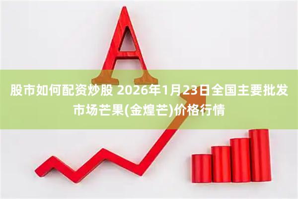 股市如何配资炒股 2026年1月23日全国主要批发市场芒果(金煌芒)价格行情
