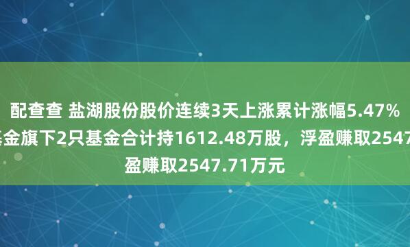 配查查 盐湖股份股价连续3天上涨累计涨幅5.47%，华宝基金旗下2只基金合计持1612.48万股，浮盈赚取2547.71万元