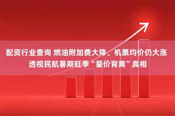 配资行业查询 燃油附加费大降、机票均价仍大涨 透视民航暑期旺季“量价背离”真相